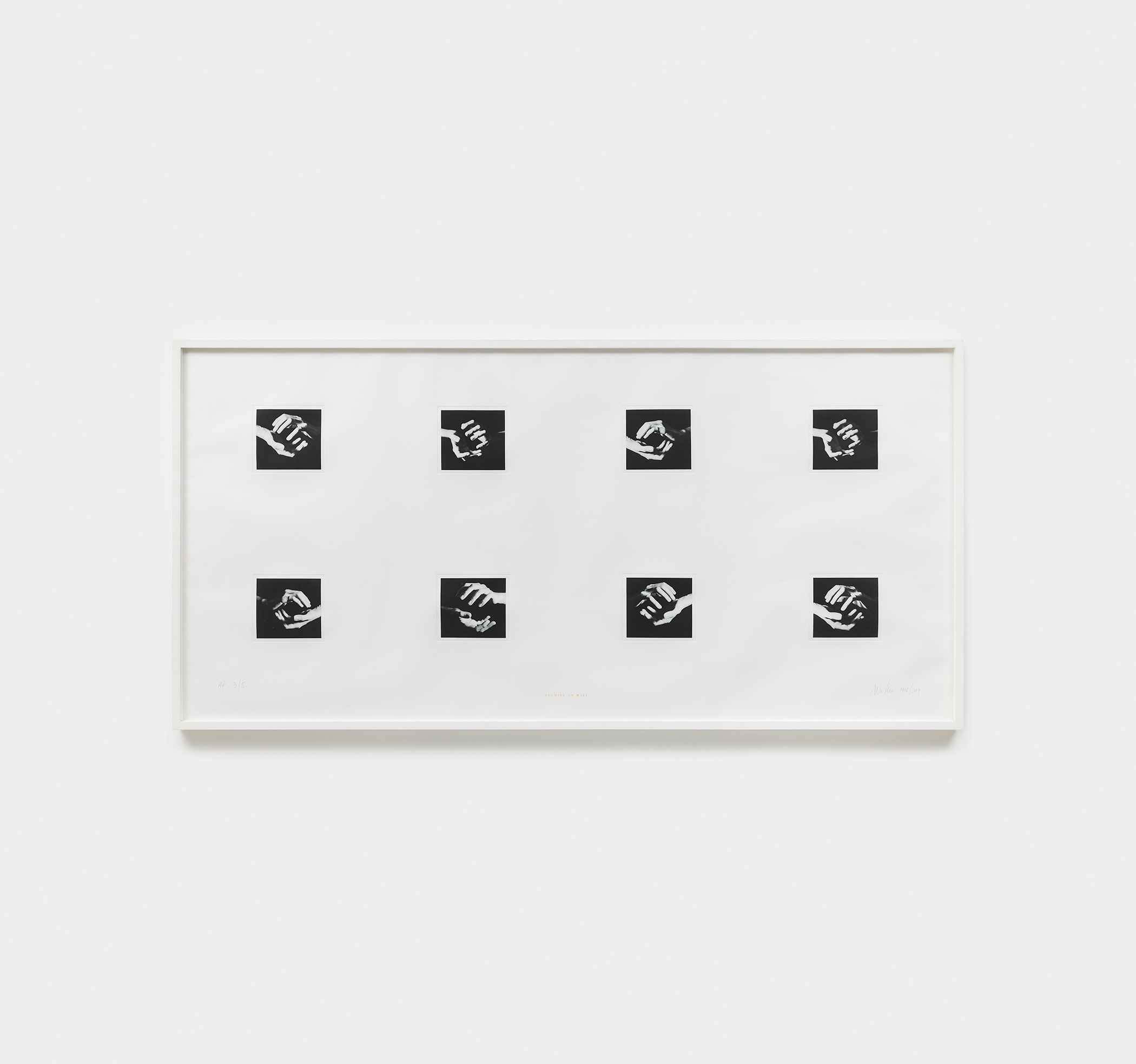 waltercio caldas_studies on will_1978