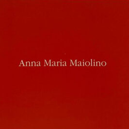 anna maria maiolino_muitos e codificações matéricas