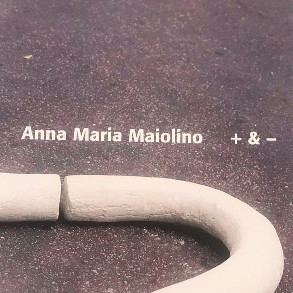 anna maria maiolino_+&-