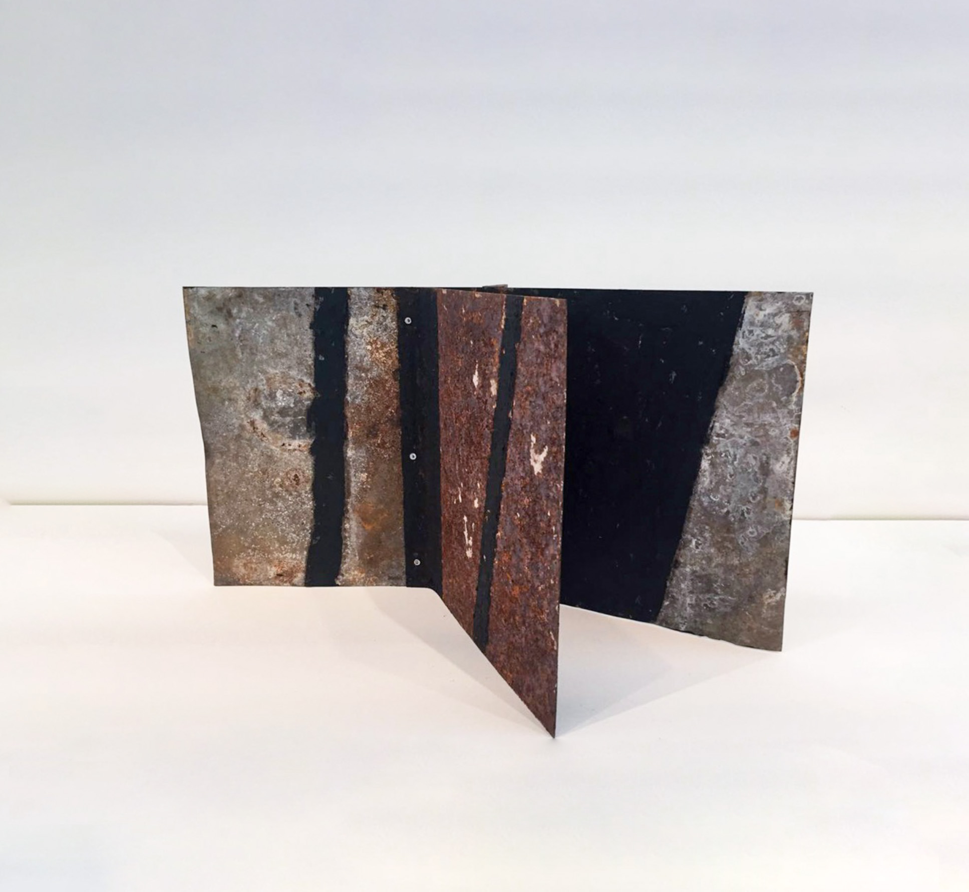 alberto martins_untitled from series “Livros”_2016