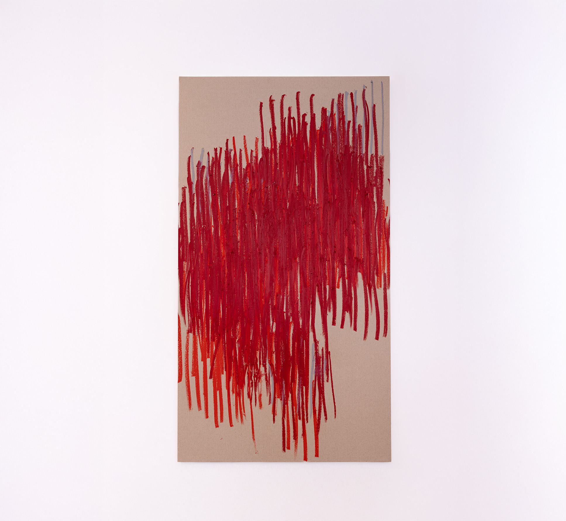 carla chaim_ em mãos_ 2026