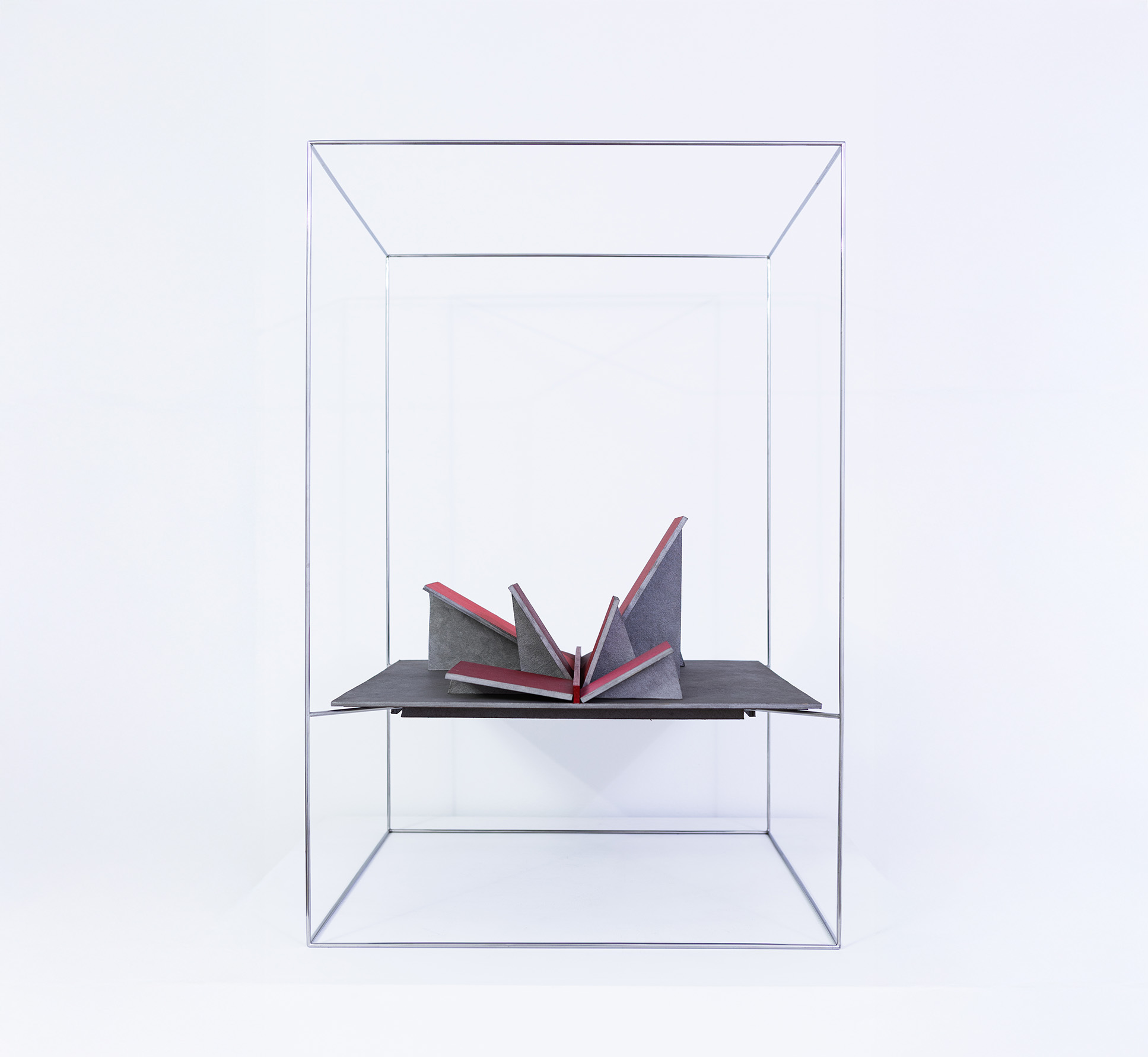 waltercio caldas_ infrareds_ 2017