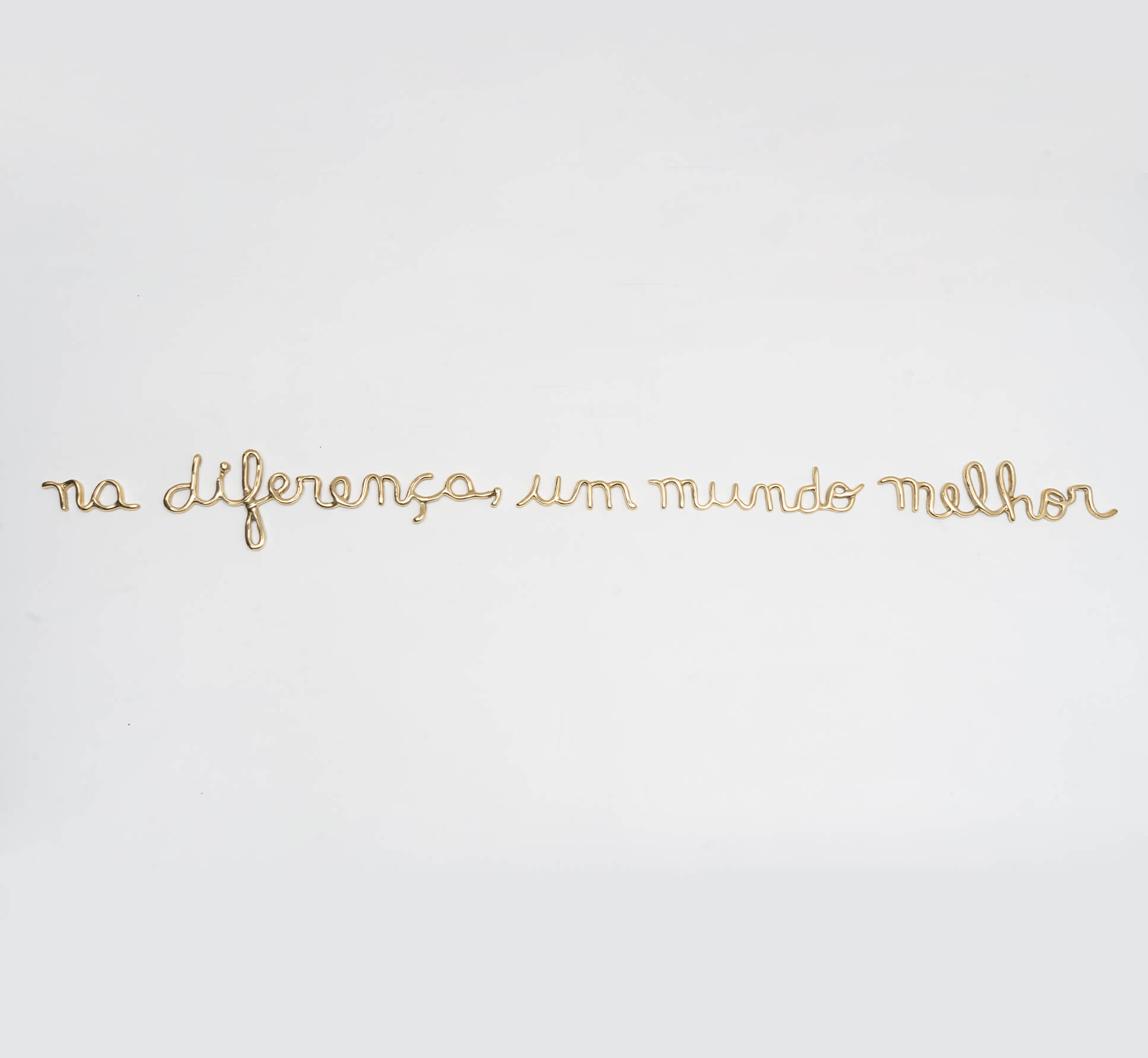 shirley paes leme_ in difference a better world_ 2025