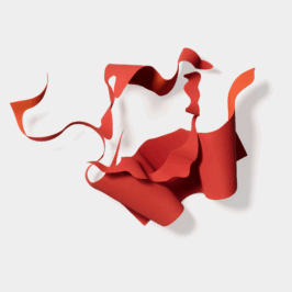 nocturne/ head and feet_ iole de freitas