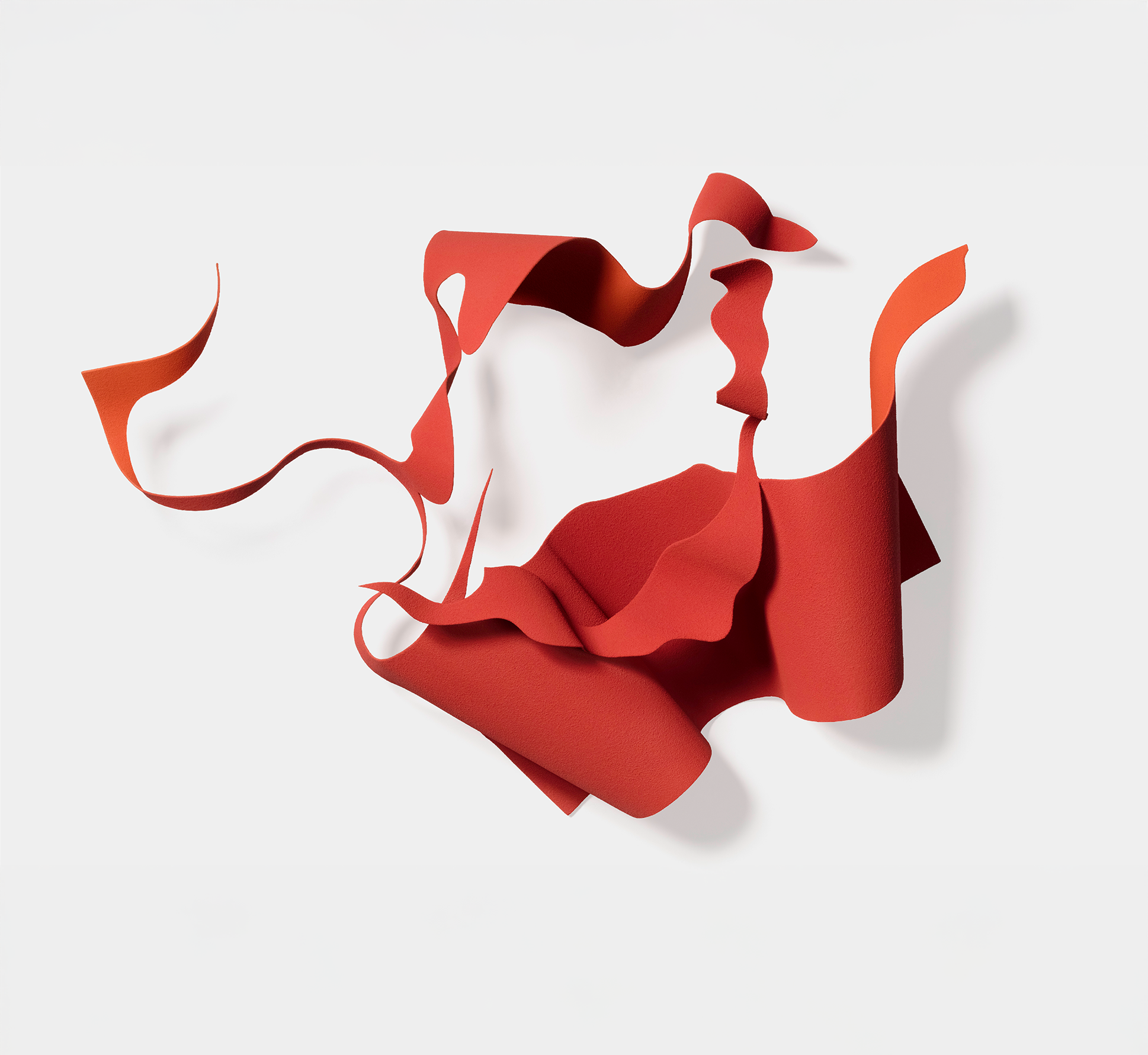 nocturne/ head and feet_ iole de freitas