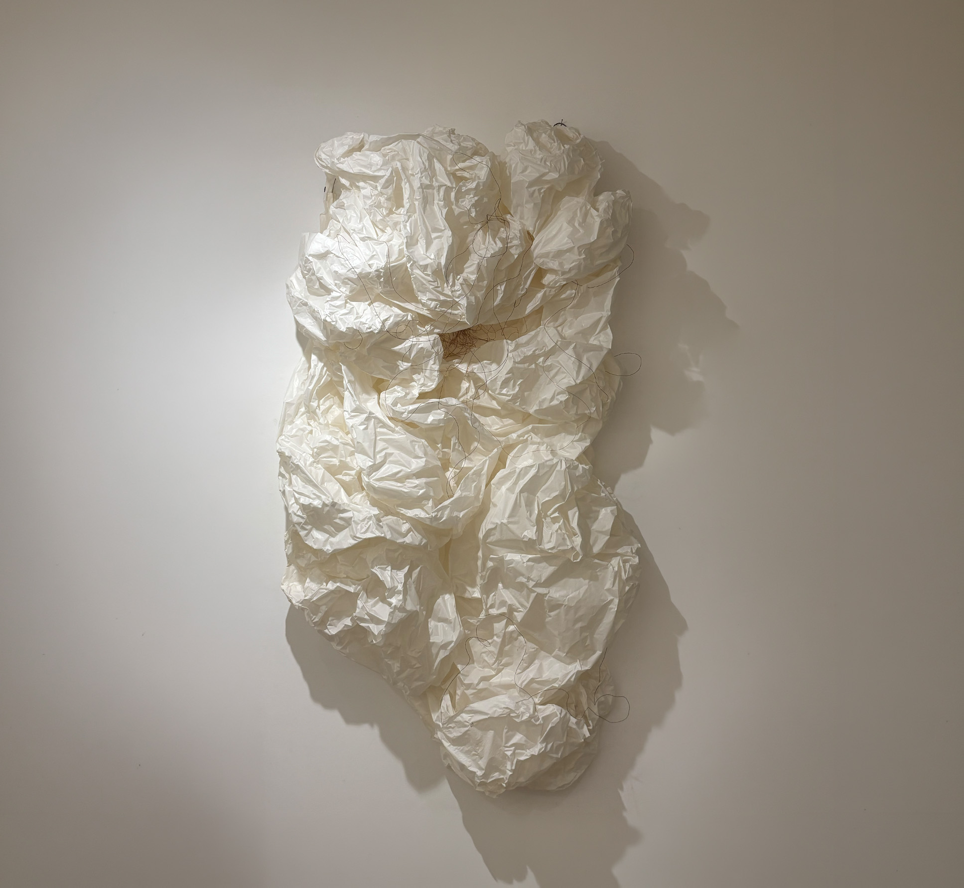 iole de freitas_ manto 4_ 2024