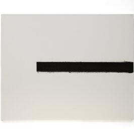 no more no less, recent paintings_ carlos zilio